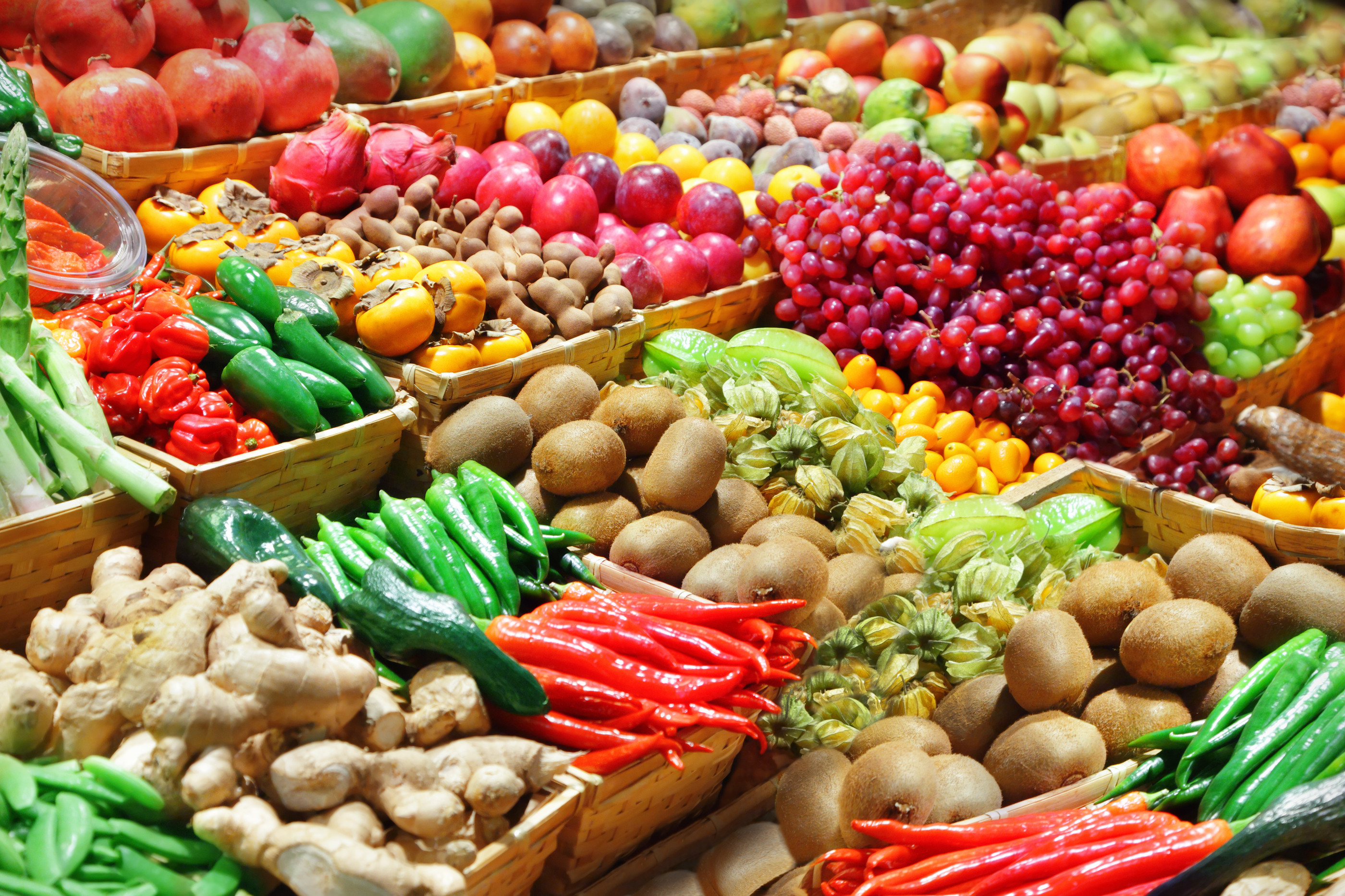 Fueling Your Brain: The Importance of Nutrition for Teenage Cognitive Performance
